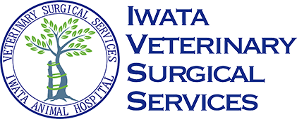 Iwata Veterinary Surgical Services